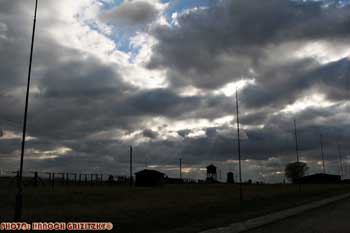 IMG_ (10817)